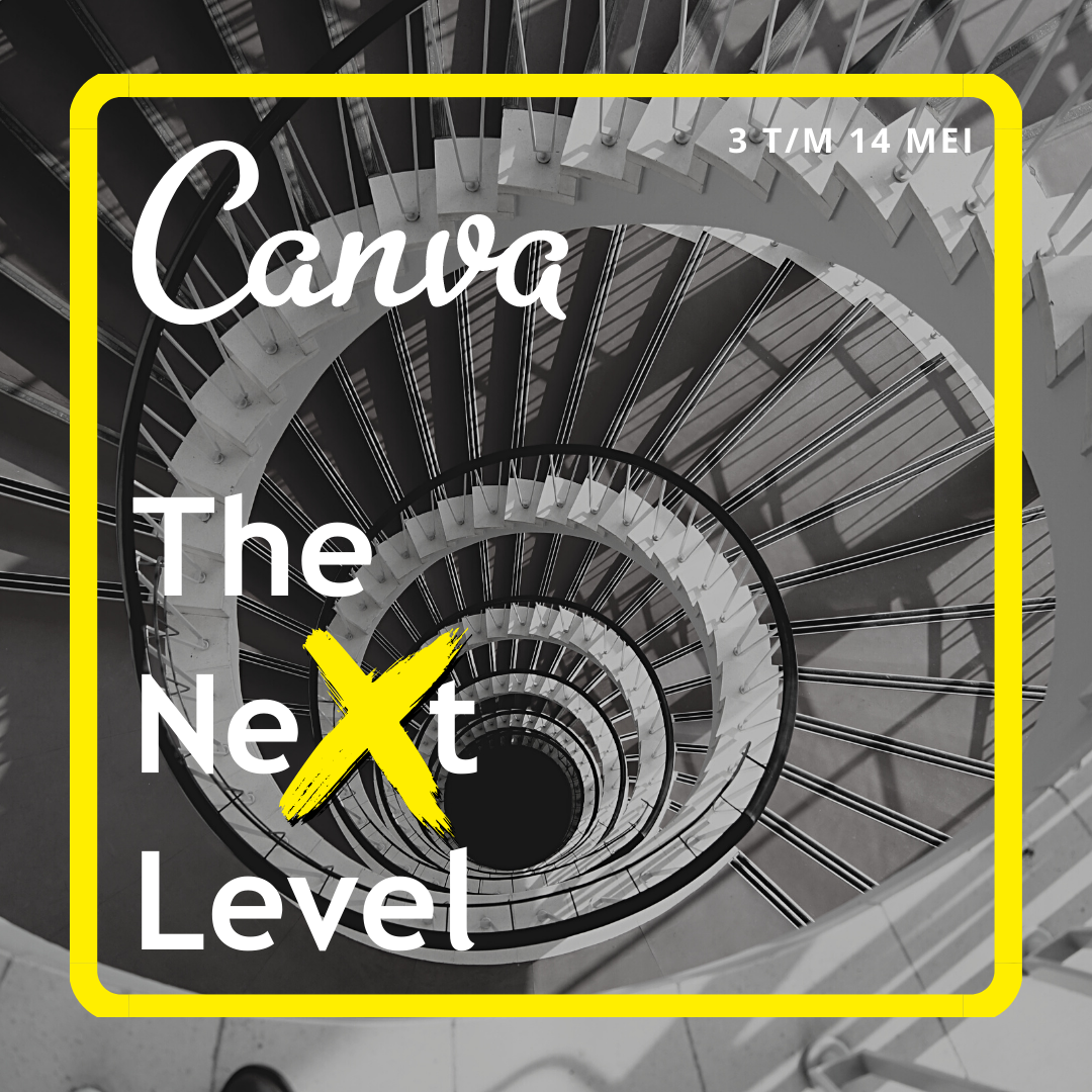 Canva The NeXt Level