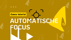 Canva tutorial automatische focus