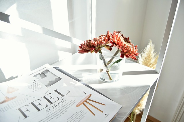magazine-gaeb31d3a9_640 ebook maken met Canva
