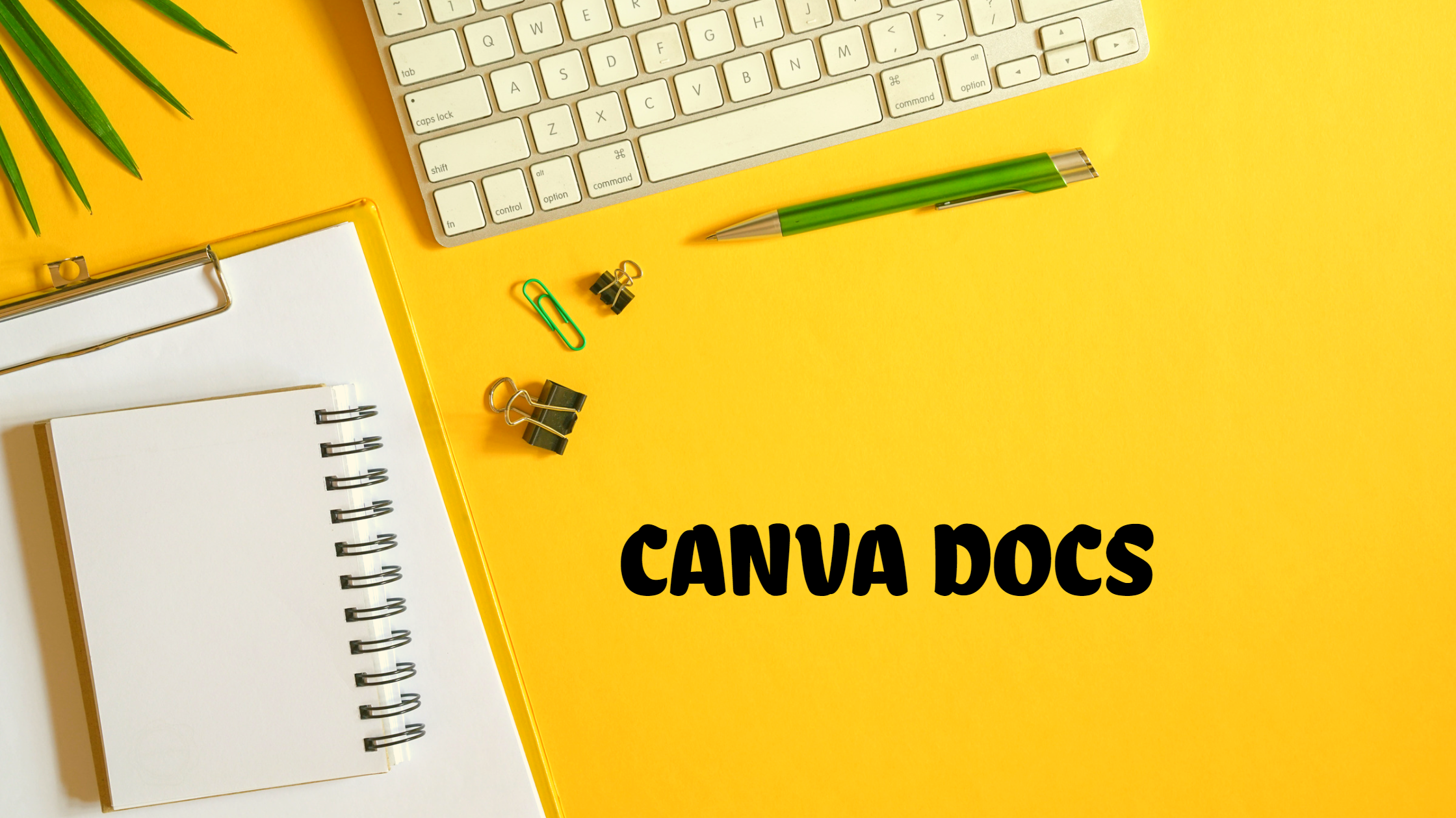 Canva docs blog